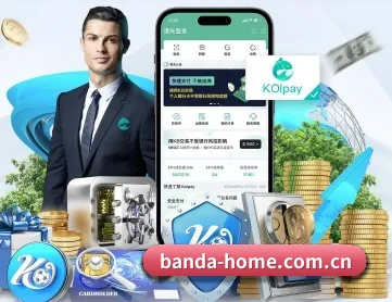 半岛综合 APP