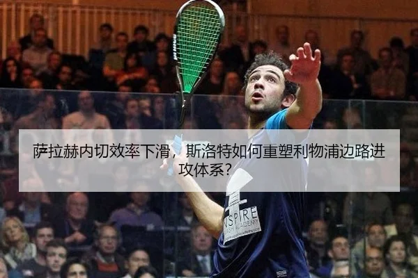 sa-la-he-nei-qie-xiao-lv-xia-hua-si-luo-te-ru-he-zhong-su-li-wu-pu-bian-lu-jin-gong-ti-xi-2-173.jpg